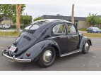 Thumbnail Photo 75 for 1951 Volkswagen Beetle